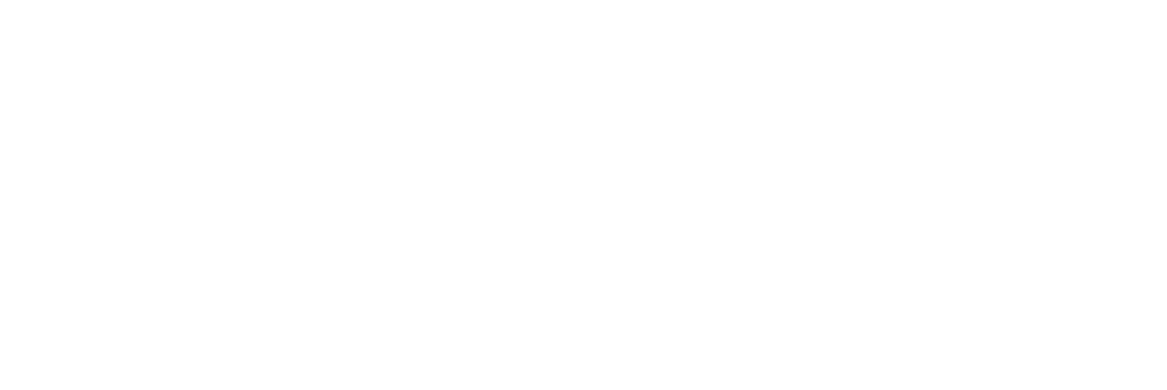 feyzaceylan.com